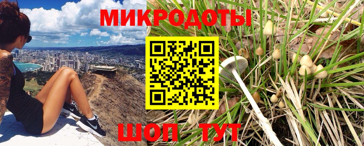 Галлюциногенные грибы мицелий  Псилоцибиновые грибы Psilocybine cubensis  Вход с VPN  Сергиев Посад 